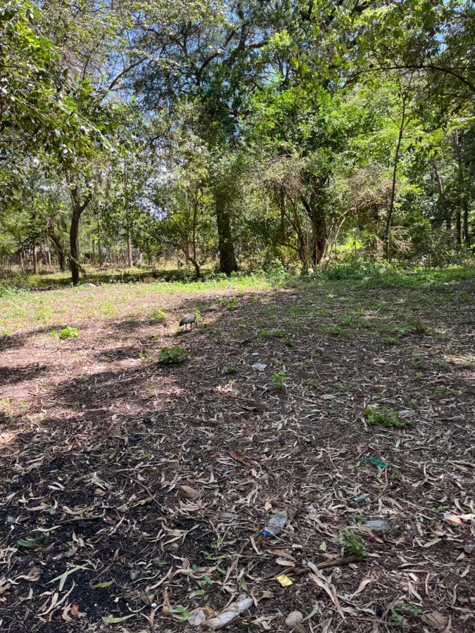 Koselig Homes Nanyuki Esterno foto